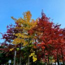 중앙근린공원 놀이터 화장실 이미지