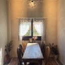 브라운피크닉 이미지