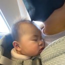 위미돌담스테이 | 아기랑 제주도 1주일 여행 다녀오기! 준비물, 일정 공유!