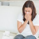 안코비어 이미지