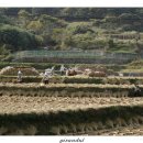 풍년농자재 이미지