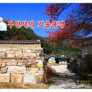 부인사 Daum카페