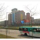 단원병원뒤 이미지