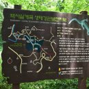 서울 종로구 백사실 계곡(2025.06.08)