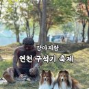 펫의상실 | 2025 연천 구석기축제 가볼만할까? 애견 동반 축제 후기