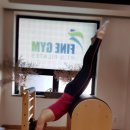 파인짐(FINE GYM) 이미지