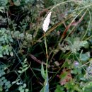 노고단-2 이미지