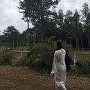 제일목장 | [제주도 대한목장] 뚜벅이도 여긴 무조건 들려야 한다! 만족도 제일 높았던 홀스테라피 내돈내산 후기 🐎