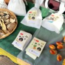 대청마루한의원 이미지