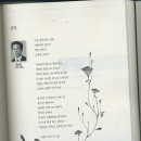 정읍중학교 이미지