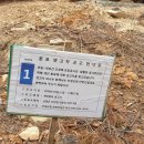 산청군청 이미지