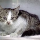 예지어린이집 이미지