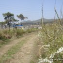 대야미역 이미지