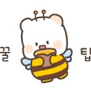 히어로보드게임카페숙명여대점 이미지