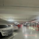 레푸스 성남모란점 | [경기/성남]레푸스 성남 모란점: 독일식 문제성 발 관리 전문