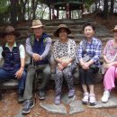 분당-345 이미지