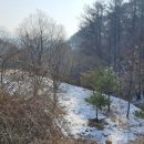 가평홍천땅N공인중개사사무소 이미지