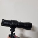 파인드썬