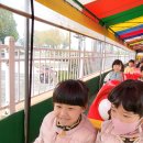 명지(병설)유치원 이미지