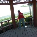 차평2리 이미지