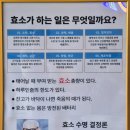 논산리얼클린족욕