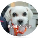 365 신원당 동물병원 이미지