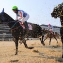 농식품부 “온라인 경마 신중한 접근 필요” 반대입장 밝혀 이미지