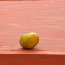 산수재민박 이미지