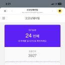 파라스파라 서울 이미지