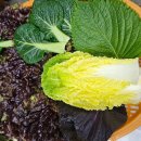 산골밥상 | 군산 산골밥상 제육볶음 두루치기 우렁쌈밥 맛집 내돈내산 후기