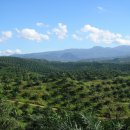 민주농장 이미지