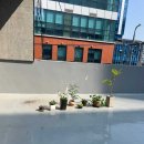 성동구펠든크라이스 전문 교육센터, 한국 펠든크라이스 센터 체험 후기