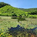 화순케어랜드요양병원 이미지