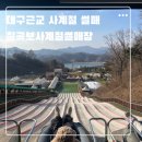 사계절썰매장 | [칠곡] 대구근교 스릴감넘치는 썰매장 칠곡보사계절썰매장 아이랑 후기