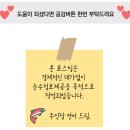 향일암로 | [순천·여수 뚜벅이 여행: 3일차] 여수 낭만 버스, 제 1코스 (향일암 코스) 후기