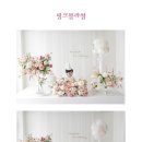 데이바이데이스튜디오