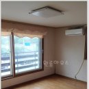 숲속원룸 이미지