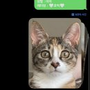 멍프레시 이미지