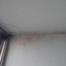 모현현대3 이미지