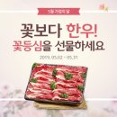 꽃보다한우