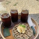 푸리머 | 광주 양림동카페 - 애견동반가능한 한옥카페 호양호림(feat.인절미와플)