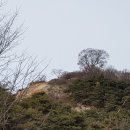 세도농협임천지점 이미지