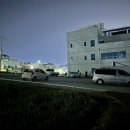 중마애견 이미지