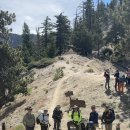 Mt. Islip Via Windy Gap Trail 07-04-2026 이미지