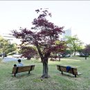 계룡스파텔 이미지