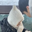 엘프세탁 이미지