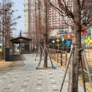 수인선 바람길 숲 이미지