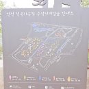 구석기체험숲4 이미지