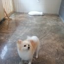 개등드리# 이미지