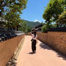 하회터줏대감 | 경북 안동 가볼만한곳 안동하회마을 부용대 셔틀버스 입장권 공연 맛집